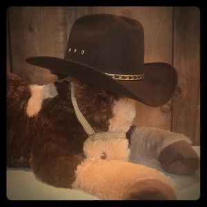 Brown felt cowboy hat